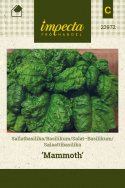 Salat-Basilikum 'Mammut'