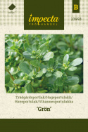 Haveportulak 'Grön'