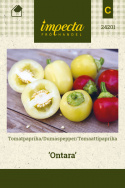 Tomatpaprika 'Ontara'