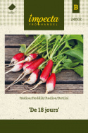 Radise 'De 18 jours'