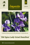 Ærteblomst 'Old Spice Lady Grisel Hamilton'