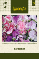 Ærteblomst 'Streamer'