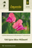 Ærteblomst 'Old Spice Miss Willmott'