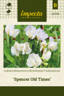 Ærteblomst 'Spencer Old Times'