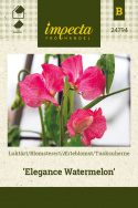 Ærteblomst 'Elegance Watermelon'