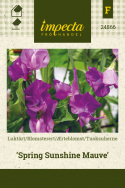 Ærteblomst 'Spring Sunshine Mauve'