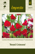 Ærteblomst 'Royal Crimson'