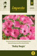 Mamelukærme 'Ruby Regis'