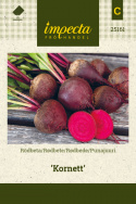 Rødbede 'Cornet'