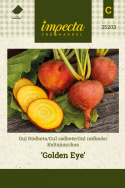 Gul rødbede 'Golden Eye'