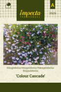 Hængelobelia 'Colour Cascade'