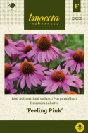 Purpursolhat 'Feeling Pink'