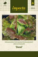 Icebergsalat 'Derel'