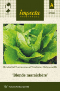 Romainesalat 'Blonde maraîchère'