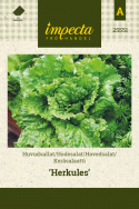 Hovedsalat 'Herkules'