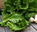 Hovedsalat 'Herkules'