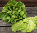 Salat 'Trocadero'