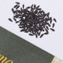 Hovedsalat 'Merveille Des Quatre Saisons'