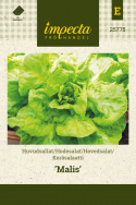 Hovedsalat 'Malis'