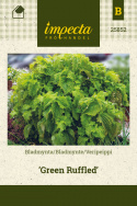 Bladmynte 'Green Ruffled'