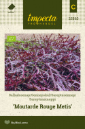 Sareptasennep 'Moutarde Rouge Metis'