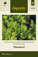 Bladsennep 'Wasabino'