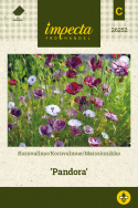 Kornvalmue 'Pandora'