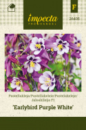 Pastelakeleje F1 'Earlybird Purple White'