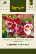 Pastelakeleje F1 'Earlybird Red White'