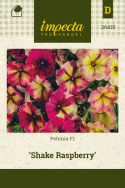 Petunia F1 'Shake Raspberry'