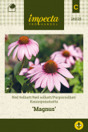 Purpursolhat 'Magnus'
