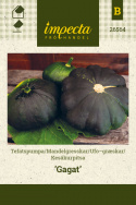 Ufosquash 'Gagat'