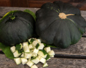 Ufosquash 'Gagat'