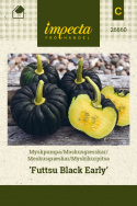 Moskusgræskar 'Futtsu Black Early'