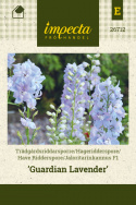 Have Ridderspore F1 'Guardian Lavender'