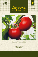 Tomat F1 'Cindel'