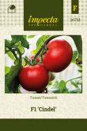 Tomat F1 'Cindel'