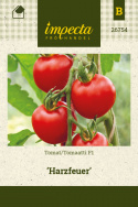 Tomat F1 'Harzfeuer'