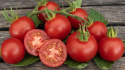 Tomat F1 'Harzfeuer'