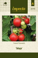 Tomat 'Maja'
