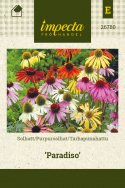 Purpursolhat 'Paradiso'