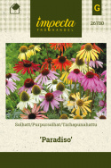 Purpursolhat 'Paradiso'