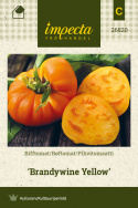 Bøftomat 'Brandywine Yellow'