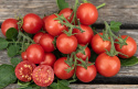 Cherrytomat 'Cherry Falls'