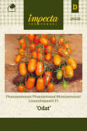 Blommetomat F1 'Odat'