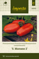 Blommetomat 'San Marzano 2'