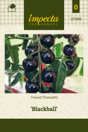 Tomat 'Blackball'