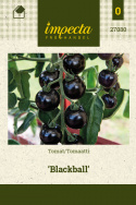 Tomat 'Blackball'