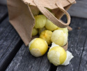 Tomatillo 'Amarylla'