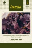 Bladsennep 'Crimson Red'